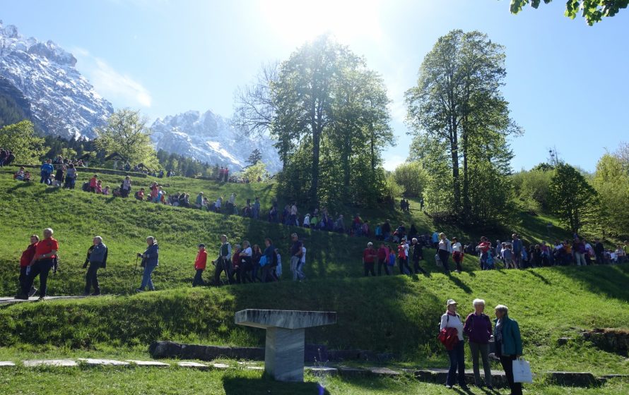 DSC08650