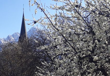 Predigt Ostersonntag 2019  – Österliche Überraschungen