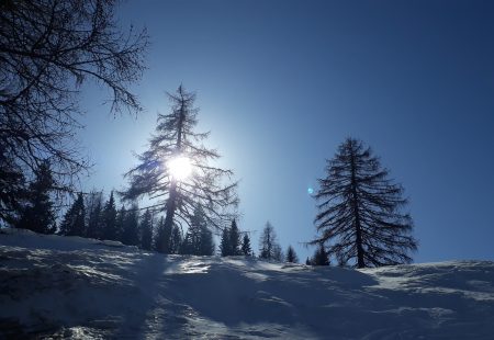 Predigt Ausstrahlungskraft – Ihr seid das Licht der Welt