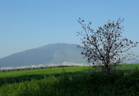 Predigt Wandlung und Verklärung