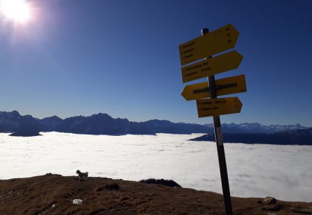 Predigt Versperrte Wege und Wegbereiter Johannes