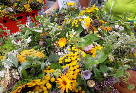 Predigt Acht Blumen für Maria. Hoher Frauentag 2025